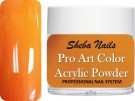 Pro Art Color Acrylic Powder - Squash thumbnail