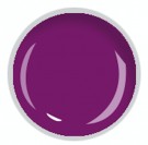 Fengshangmei E&A Cover Color Gel - GS082 - Happy Purple thumbnail