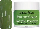 Pro Art Color Acrylic Powder - Leafy Green thumbnail