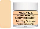Sheba Nails Acrylic Powder - Barely There Collection - Barely Orange thumbnail