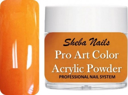 Pro Art Color Acrylic Powder - Squash