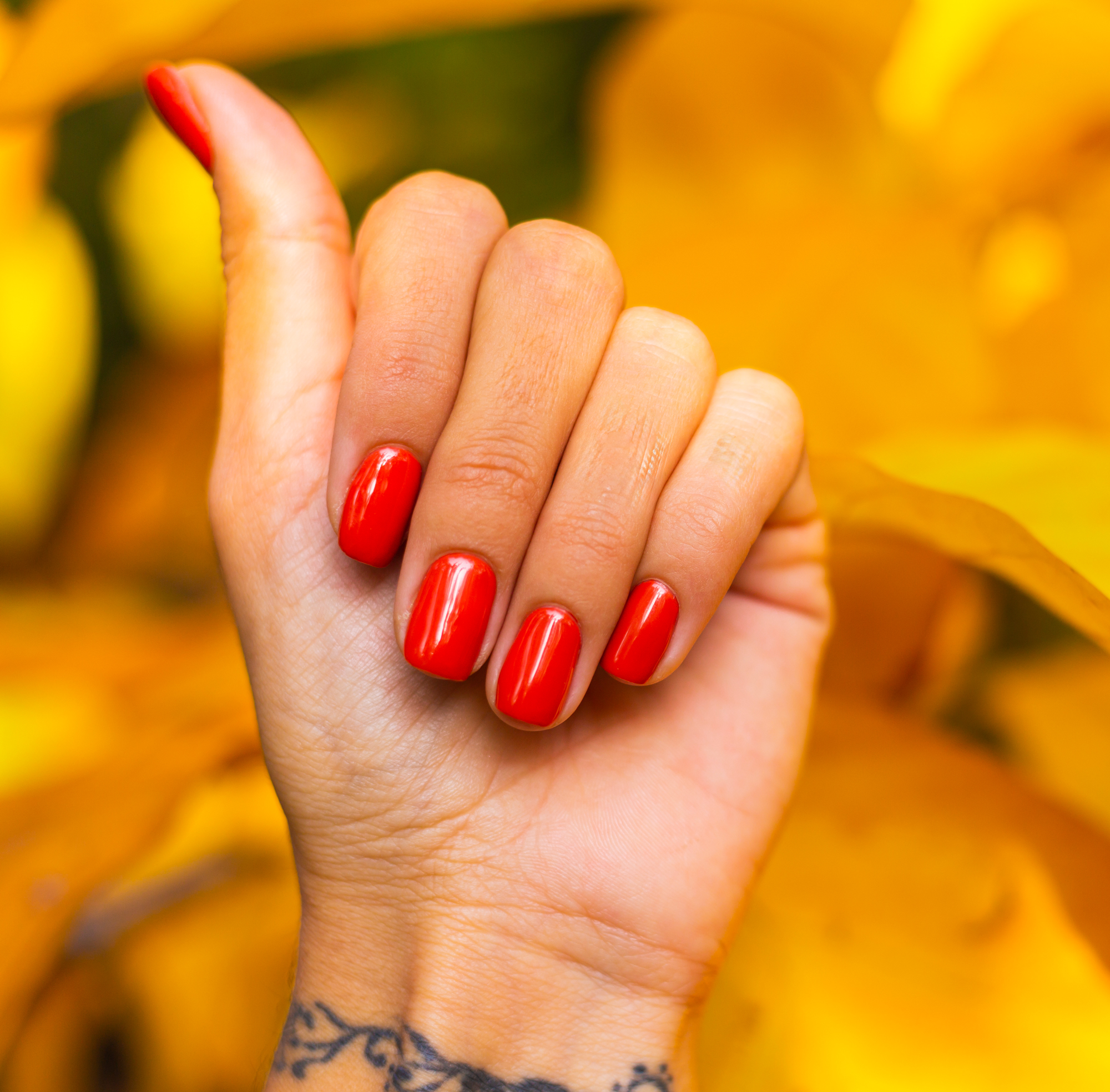 Neglemakeriet Gel Polish #117 FLAMENCO ROJO SHEER